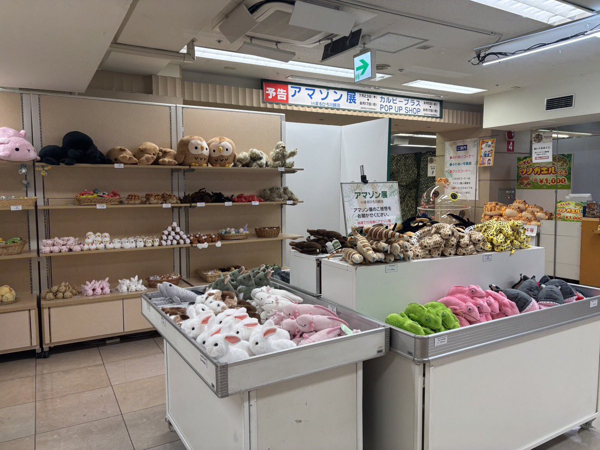 owlnestcafe's tweet photo. 入り口から撮影スポット満載の
アマゾン展　in まるひろ川越店
沢山のご来店お待ちしております♡
是非涼みがてら来て下さい🎵

#夏休みお出かけ
#ふれあいイベント川越
#まるひろ川越店
#アマゾン展
#動物ふれあい体験 https://t.co/SlV7ROSJ36