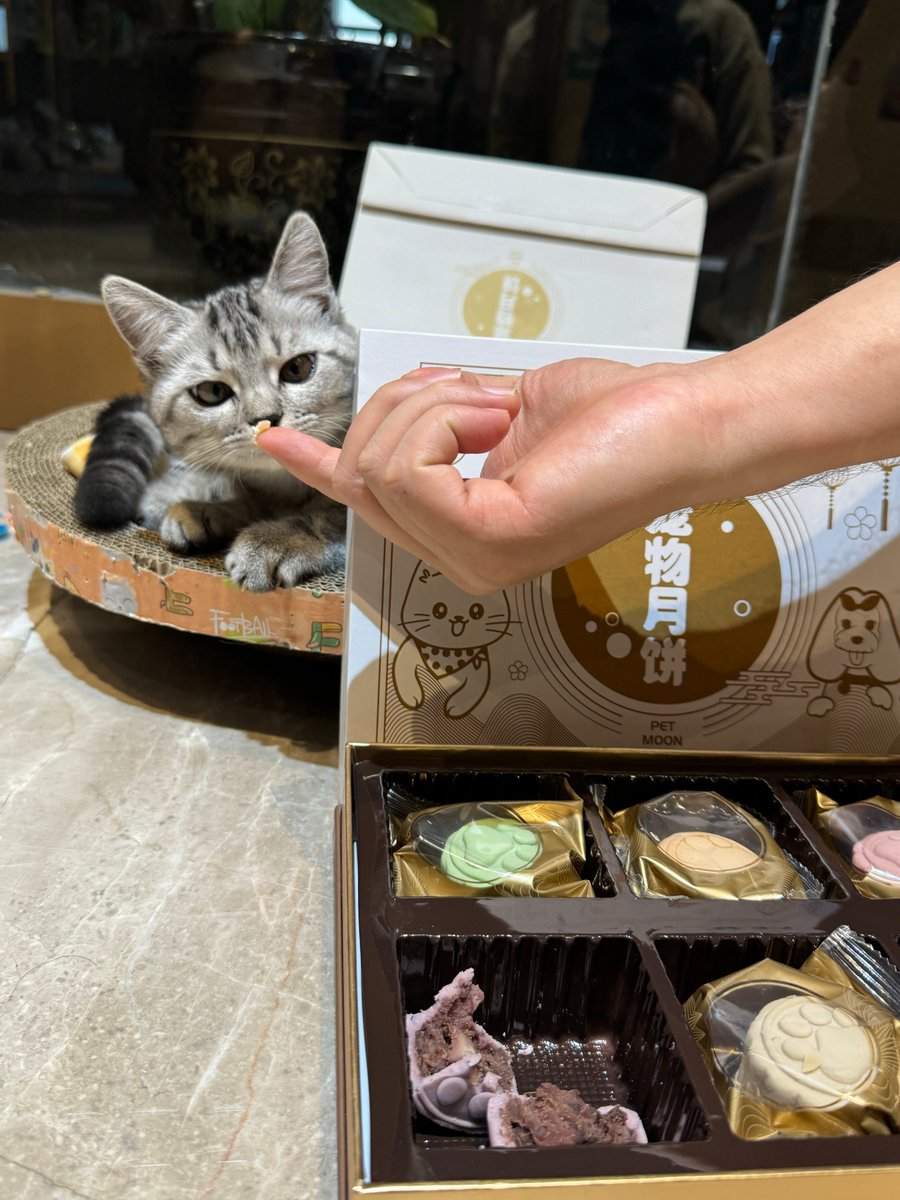 HangAlegarpufk's tweet photo. Celebrating Mid-Autumn Festival with mooncakes, warm chats, and full moon wishes ， https://t.co/0NuoQ0DF4Y