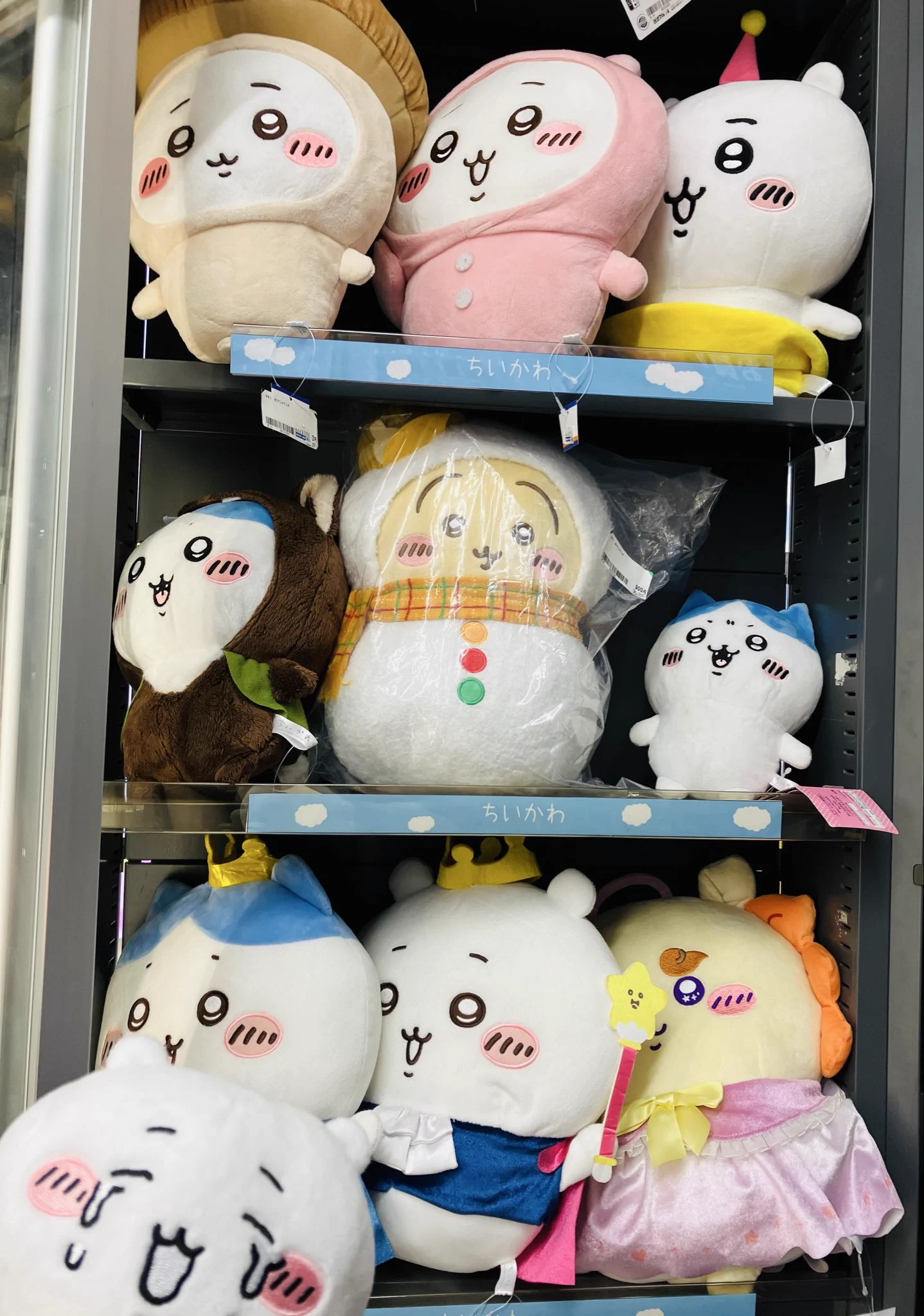ブックオフ高槻栄店 on X: 