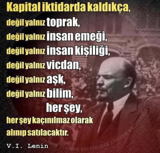 Temel demirer tweet media