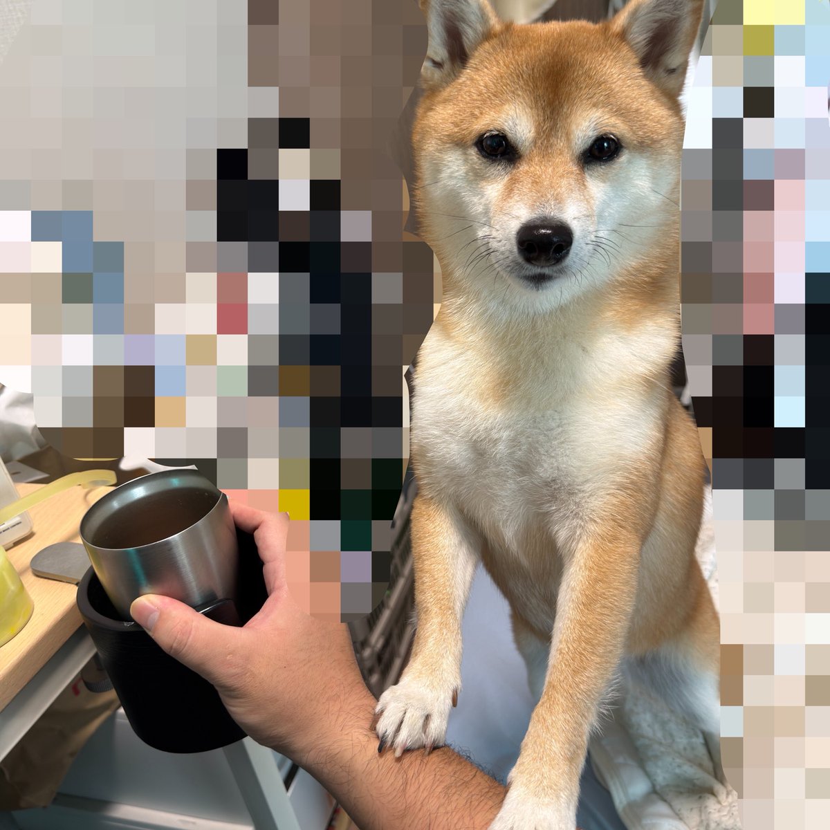 boya_2600's tweet photo. あの…水飲ませてください…😥 https://t.co/0ihLv9lqYf