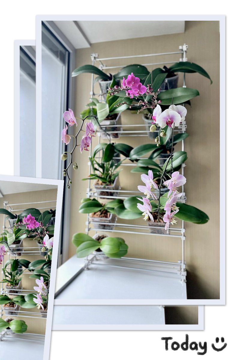 NievesLinevbc's tweet photo. Turn an old mason jar into a cute floating plant holder with string and a hook—cheap, easy, and gives any desk a warm vibe!， https://t.co/BJZd8KTpyF