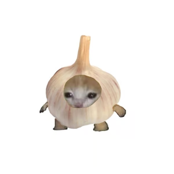 GARLIC_CAT_OG tweet media