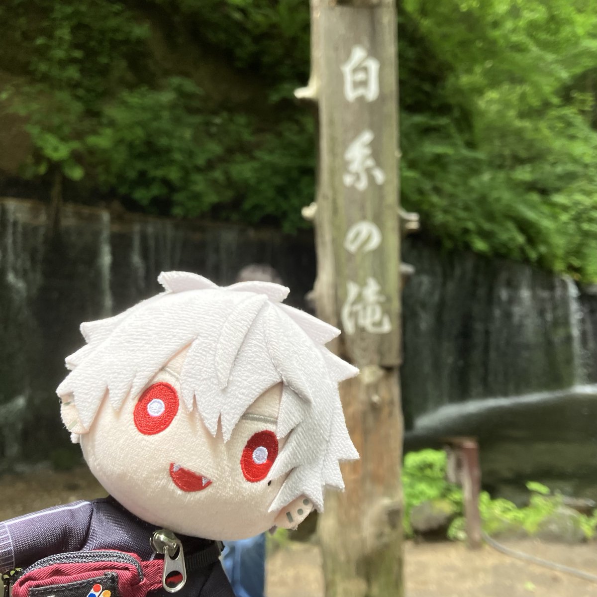 nui_vamp's tweet photo. くずさんぽ🐾 in 軽井沢②
ひんやりセラピー🍃🫧🌳 https://t.co/qwMmXLHFBN