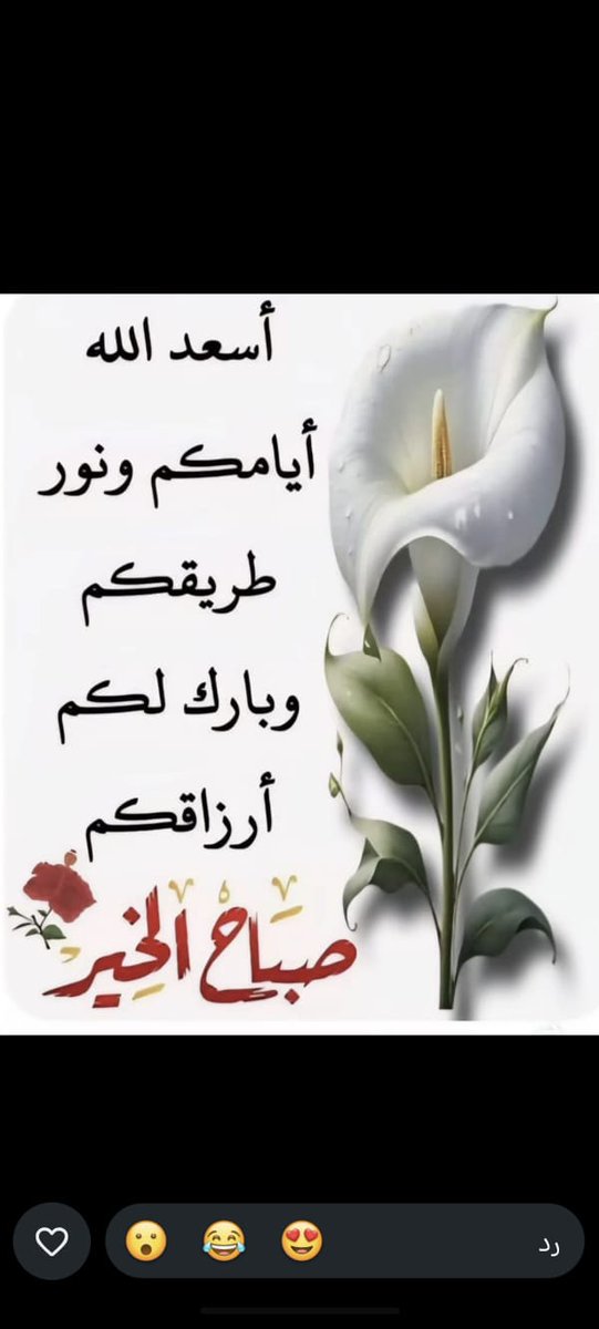 rhaaalll_07's tweet photo. أسِألَ الَلَهّ الَذِيِ لَيِسِ لَقُضائهّ دٍافُعٌ ، وٌلَا لَعٌطِائهّ مًانِعٌ  ،  وٌلَاتٌخِفُى عٌلَيِهّ الَطِلَائعٌ ،  وٌلَاتٌضيِعٌ عٌنِدٍهّ الَوٌدٍائعٌ
وٌهّوٌ لَلَدٍ��ٌوٌاتٌ سِامًعٌ ، 
 وٌلَلَکْربًاتٌ دٍافُعٌ ، 
وٌلَلَدٍرجّاتٌ رافُعٌ 
أنِ يِجّعٌلَ لَکْمً مًنِ کْلَ هّمً فُرجّا
وٌمًنِ کْلَ ضيِقُ مًخِرجّا ، 
وٌأنِ يِبًدٍلَ حًزٍنِکْمً فُرحًا 
وٌ عٌسِرکْمً يِسِرا ،  
وٌيِجّعٌلَکْمً مًنِ الَسِعٌدٍاء فُيِ الَدٍنِيِا وٌالَآخِرهّ