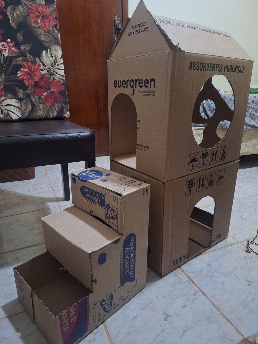 bngtanbears's tweet photo. gente to construindo uma mansão de papelão pro meu gato ne, tá tomando forma, confirão !!! https://t.co/zFwC54Q1bK