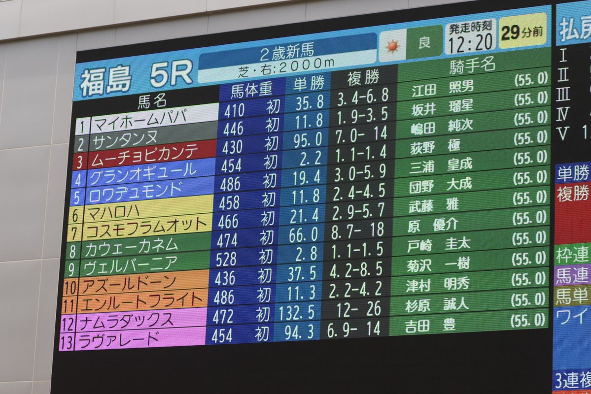 shiro216's tweet photo. 2026.7.19 FUKUSHIMA RACE COURSEにて♪
 
5R メイクデビュー福島(2歳新馬戦 芝2000m)を勝利した、グランオギュール
(牡2 父ハービンジャー 林徹きゅう舎)(荻野極)
勝ちタイム 2:04.6 
天候:晴 芝:良
(1番人気/13頭立て) https://t.co/WMg8gpH55y
