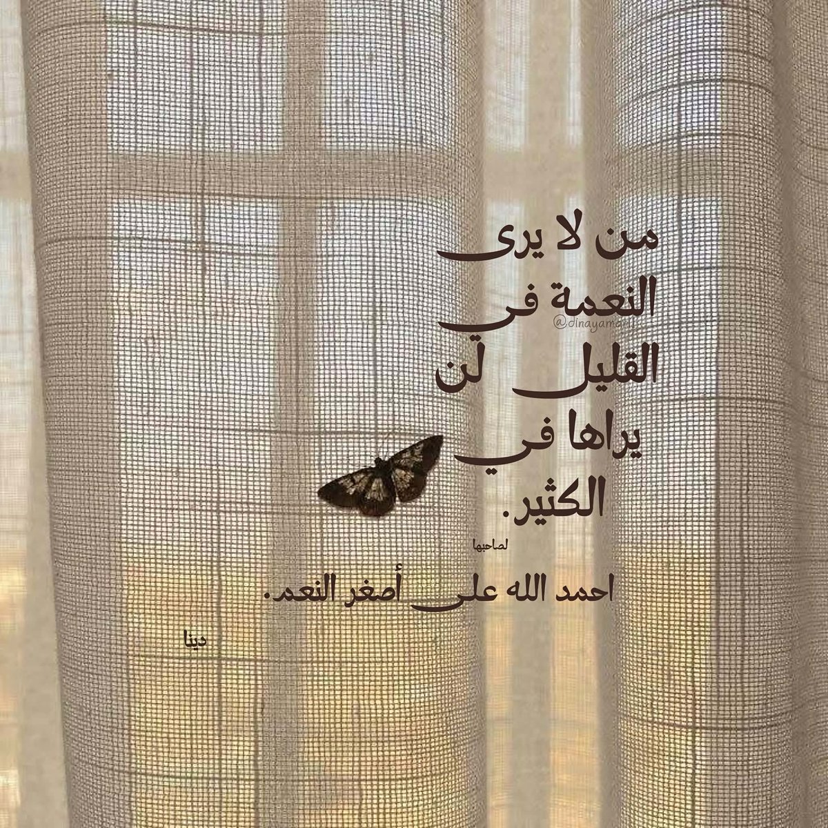ElsayedElkshawy's tweet photo. https://t.co/0H3heel0gB