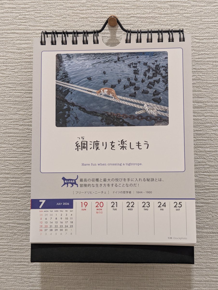 a_bee2501's tweet photo. 今週の猫めくりカレンダー、「綱渡りを楽しもう」なんて書いてあるけど、もうこんなタイトロープな生活楽しむなんて心のゆとりない＿|￣|○ https://t.co/i7k3Nw64Em