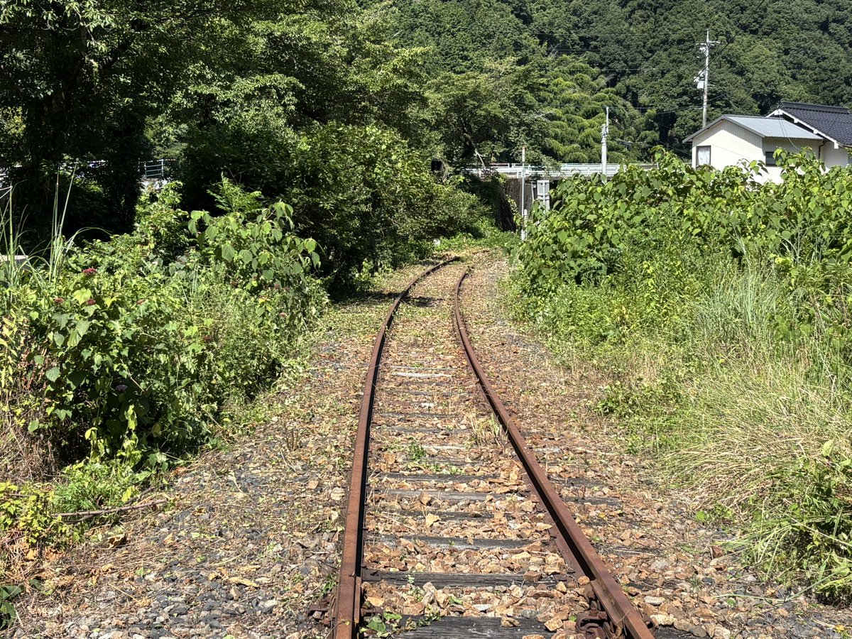 moritaippai's tweet photo. 今朝は2時間、三江線口羽駅近くの西之原踏切付近の草取り！線路が見えるようになった！蔦系の草は始末が悪いなあ🥹明日以降、もう少し先まで少しずつですが、進んでいきたいと思います！ https://t.co/O4szGmKEeJ