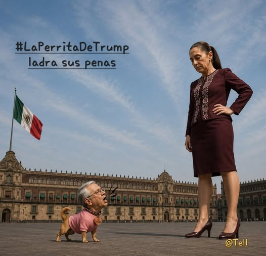juancarlosrea's tweet photo. @DerechaDiarioMX @RicardoBSalinas https://t.co/I0XLxlYOi3