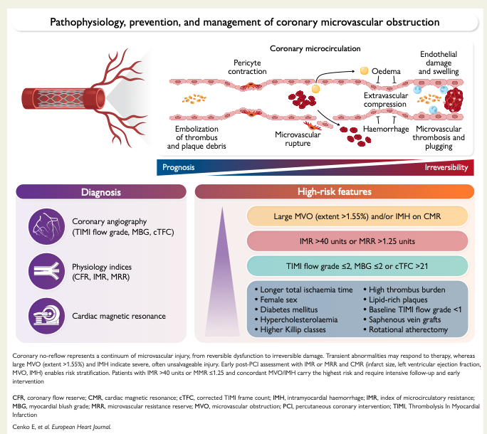 LuisOliverio's tweet photo. Consenso de la ESC (European Society of Cardiology) 2026, sobre Obstrucción Microvascular Coronaria (o fenómeno de no-reflujo). Lo más sintetizado que puedo:

🟢Fenómeno No-reflow coronario: perfusión tisular miocárdica inadecuada a pesar de la recanalización exitosa de la arteria coronaria epicárdica sin obstrucción mecánica. Frecuente y lo pensamos poco (hasta 60% post infarto con elevación del ST tienen perfusión subóptima). Es un problema microvascular que clínicamente puede evolucionar a falla cardíaca.

🟢 El predictor más importante para no-reflow: tiempo en isquemia (puerta-balón). Ser mujer también es un factor.

🟢 Es un marcador pronóstico importante. Un IMR (index of microvascular resistance) >40 casi triplica el hazard de muerte cardiaca. La hemorragia intramiocárdica triplica muerte.

🟢 Casi ninguna terapia farmacológica cambia el desenlace. Adenosina, nitroprusiato y calcioantagonistas mejoran marcadores angiográficos, no mortalidad. Aspiración de trombo rutinaria no se recomienda (riesgo de EVC).

🟢 Así que el enfoque es: diagnóstico temprano, reducir tiempo en isquemia, Estatina de alta dosis temprana, P2Y₁₂ potente, control de presión, glucemia y factores de riesgo.

Es un tema muy interesante. Pueden ver el artículo completo en el canal (https://t.co/3O93s10lns).