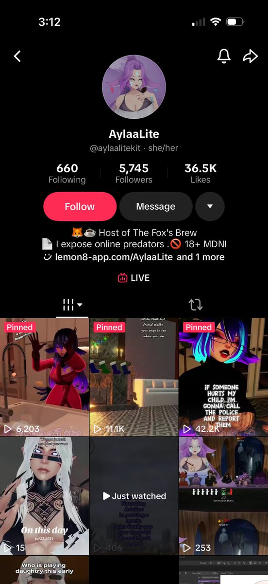 EMMETGUTZ's tweet photo. i’ve been getting harassed on tiktok for commenting that Haunting Adeline is a rape fetish book and it doesn’t deserve to be made into a movie. One of the people harassing me is a tiktok user who posts VR clips. Their bio reads that they “expose online predators”. (1/🧵) https://t.co/gXMCpVYIIt