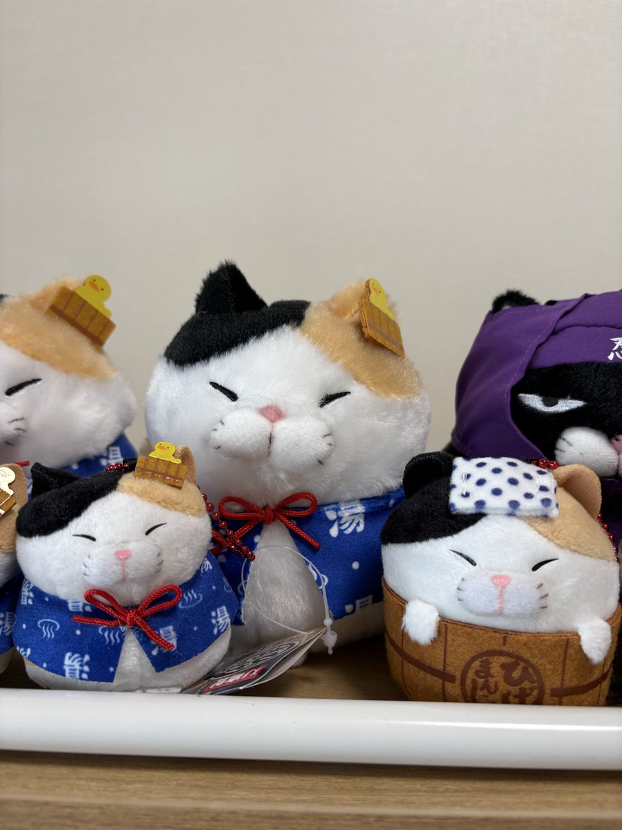 アミューズ AMUFUN【公式】 (@AMUSE_japan) / Posts / X