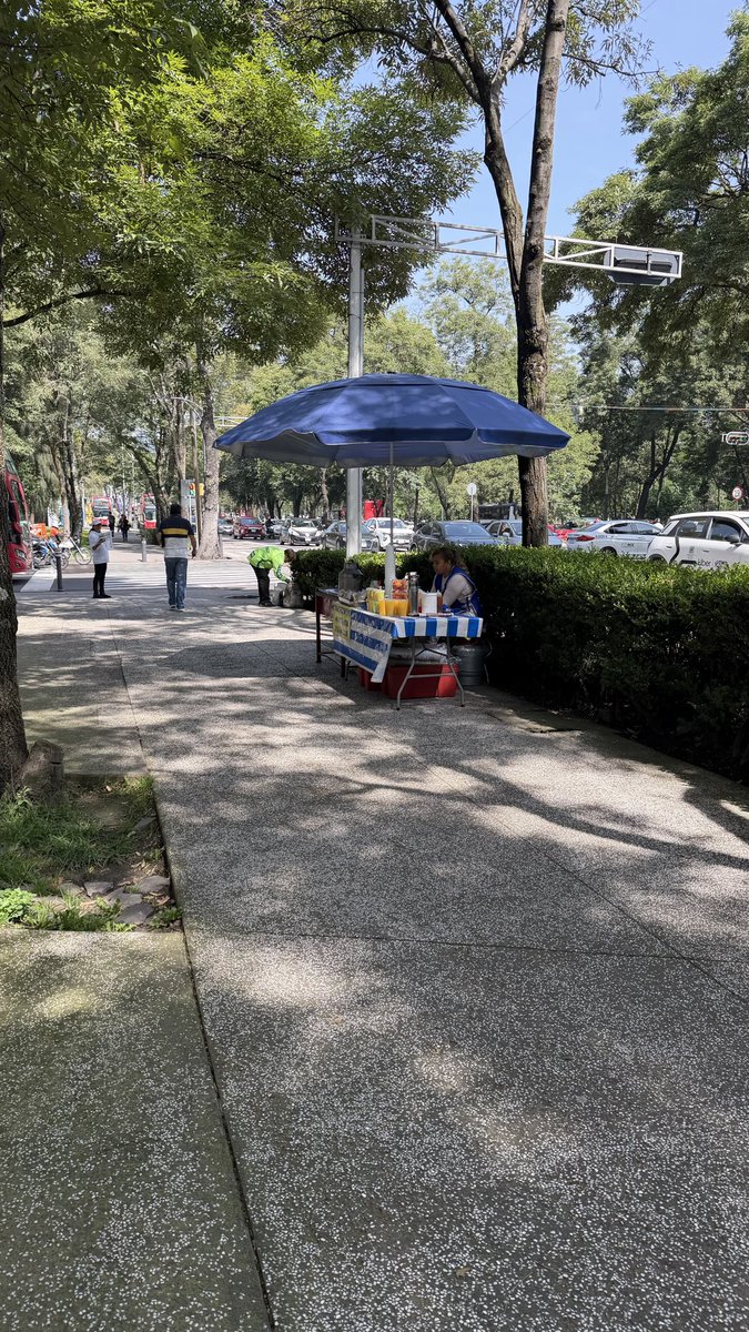 teteramirezp's tweet photo. Gracias a las 4t tenemos puestos en Reforma no pagan impuestos ni renta ni predial ni agua ni luz pero eso si todos uniformados con estas sombrillas azules #quienlosopera @AlcaldiaMHmx @GobCDMX
#noalpuestoambulante https://t.co/wH6M3bETVr