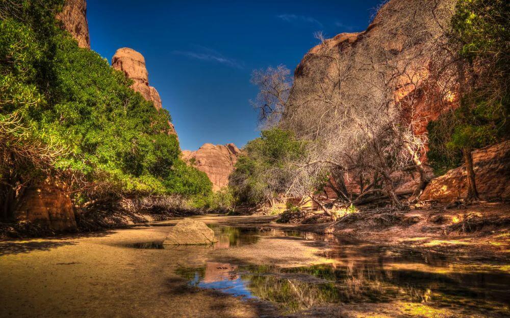 Martinscampshop's tweet photo. Finding a quiet oasis in the middle of rugged country reminds us that nature always has surprises waiting around the next corner.
https://t.co/VqCi0Zi3Y9
#DesertAdventure #CampingLife #NatureEscape #OutdoorLiving #HiddenPlaces #ExploreMore #StayWild #AdventureAwaits #FreshAir https://t.co/kkNnPXdgK0