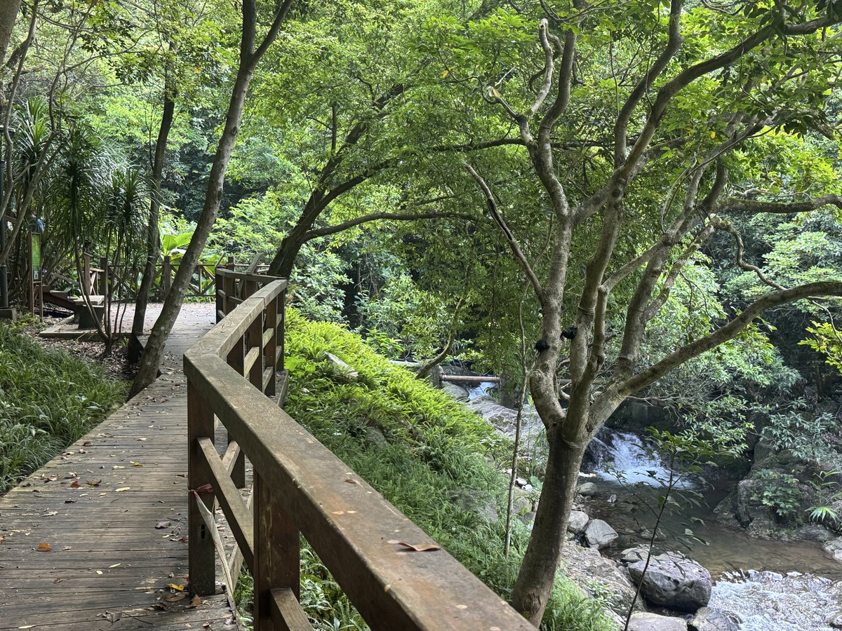 PM_Forest's tweet photo. It’s already past 8 a.m., and it’s still cool enough for a mountain run. 🌿🏃‍♂️ https://t.co/gsut5tQejd