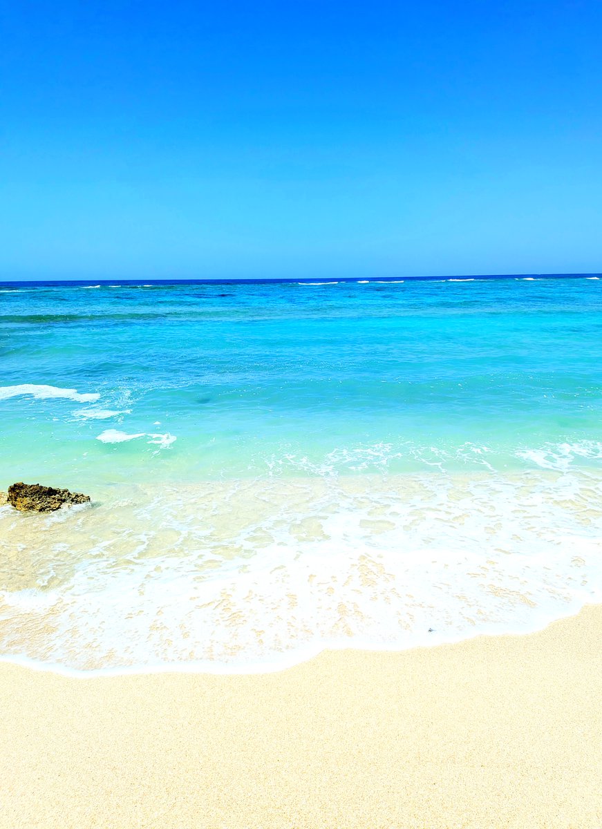 極上の沖縄 -okinawa- tweet media