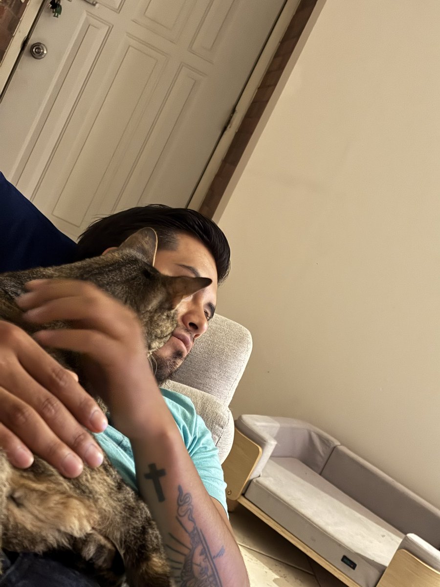 marcogarzonr's tweet photo. Actualización mensual de lo que estoy viviendo. 
Dejé el trabajo.
Enfocado en mi vida sentimental y amorosa. 
Mi familia quiere a mi pareja.
Mis gatos se adaptan rápidamente.

Pd. Extraño a Gumpis y a Alfreeed 🫶🏻😭 https://t.co/H7ZfTt1hu9