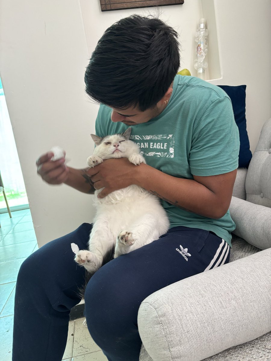marcogarzonr's tweet photo. Actualización mensual de lo que estoy viviendo. 
Dejé el trabajo.
Enfocado en mi vida sentimental y amorosa. 
Mi familia quiere a mi pareja.
Mis gatos se adaptan rápidamente.

Pd. Extraño a Gumpis y a Alfreeed 🫶🏻😭 https://t.co/H7ZfTt1hu9