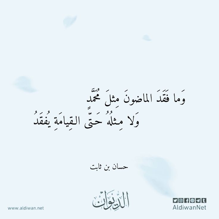 floweroad7 tweet picture