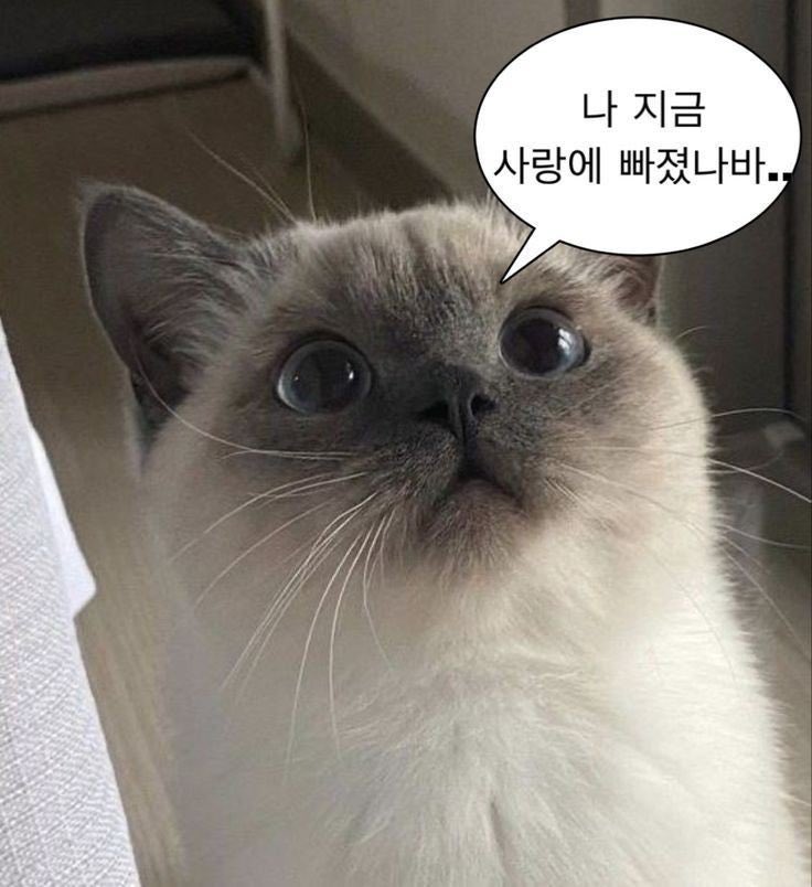 letsduk_2gether's tweet photo. @happy_taesan 감사합니다 💛🖤🏠🚪 https://t.co/eKet6qVjCI