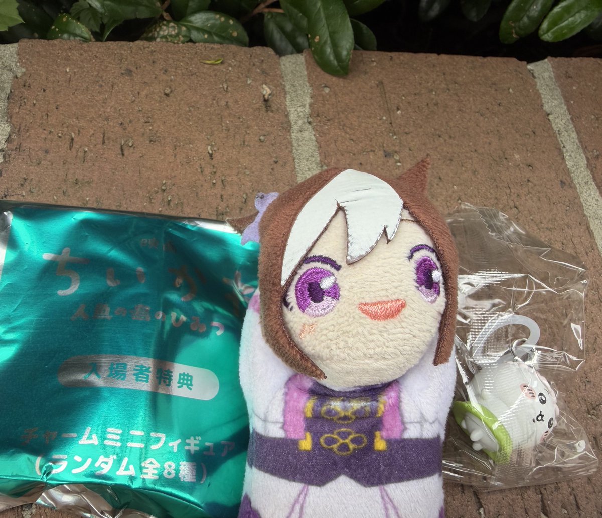 imo_tami's tweet photo. 映画ちいかわ 人魚の島のひみつを見てきました！

私もちいかわです！

セイレーンのお歌が良かったです！

⸜(˶ˆ꒳ˆ˵)⸝🐟♪ https://t.co/MoR0uZwOvx