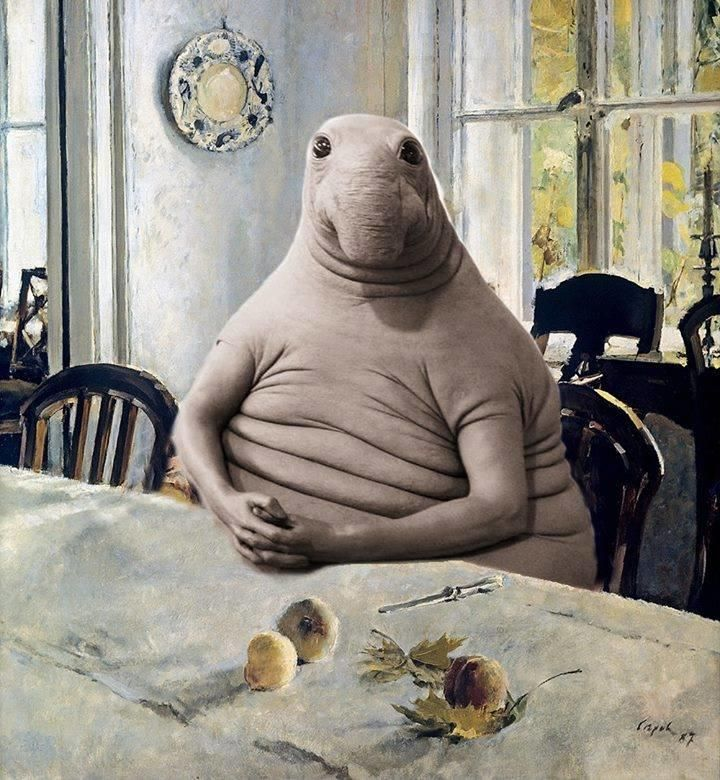snorp_sol's tweet photo. Patience. 

The one who waits will be rewarded. https://t.co/8N49tGaW5L