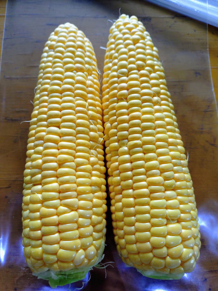 mareno0706's tweet photo. 今年最初の🌽 https://t.co/gWF3wnJ19P