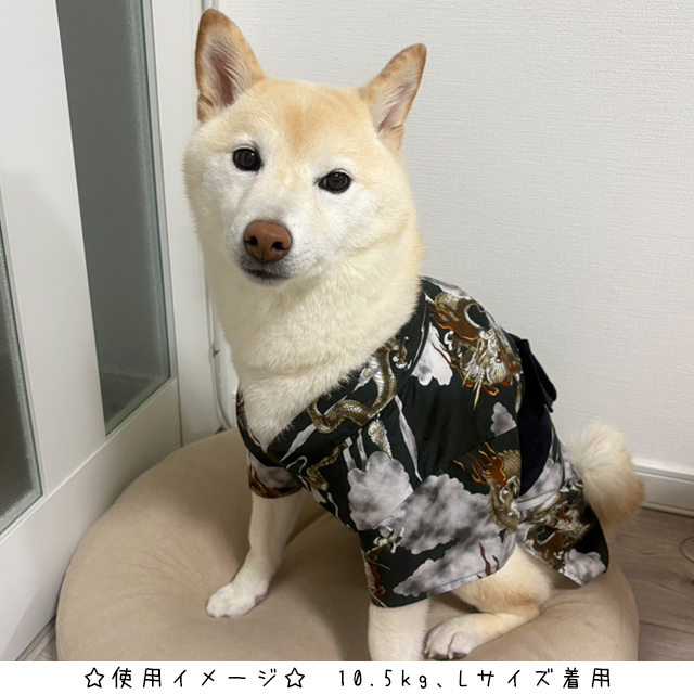 mirise's tweet photo. 固定ポストの各サイトで販売中のワンちゃん用浴衣の新しいモデル写真が到着しました！

こちらは
中型犬用浴衣/龍 Lサイズ
です🐉☁️
雲の中の荒々しい龍がインパクト抜群！

体型にもよりますが、大体8kg～15kgくらいまでの子にご着用いただけると思います。

#ハンドメイド #犬服 #柴犬 https://t.co/zmD9xfTGsa
