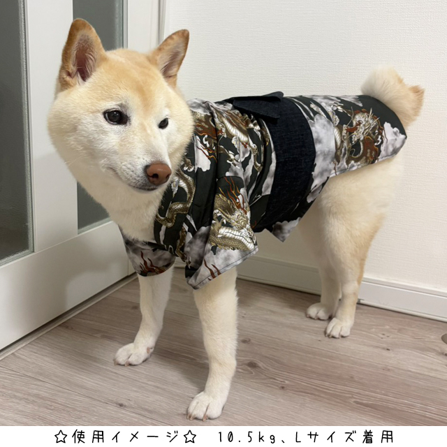 mirise's tweet photo. 固定ポストの各サイトで販売中のワンちゃん用浴衣の新しいモデル写真が到着しました！

こちらは
中型犬用浴衣/龍 Lサイズ
です🐉☁️
雲の中の荒々しい龍がインパクト抜群！

体型にもよりますが、大体8kg～15kgくらいまでの子にご着用いただけると思います。

#ハンドメイド #犬服 #柴犬 https://t.co/zmD9xfTGsa