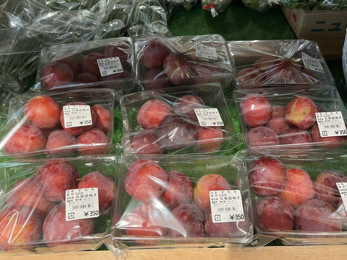 miyazoe_nene's tweet photo. 甘酸っぱさがクセになるすもも🍑が入荷しました✨
そのまま丸かじりしても切ってヨーグルトなどで食べても美味しいですね😊💕 https://t.co/cquEcgW8FW
