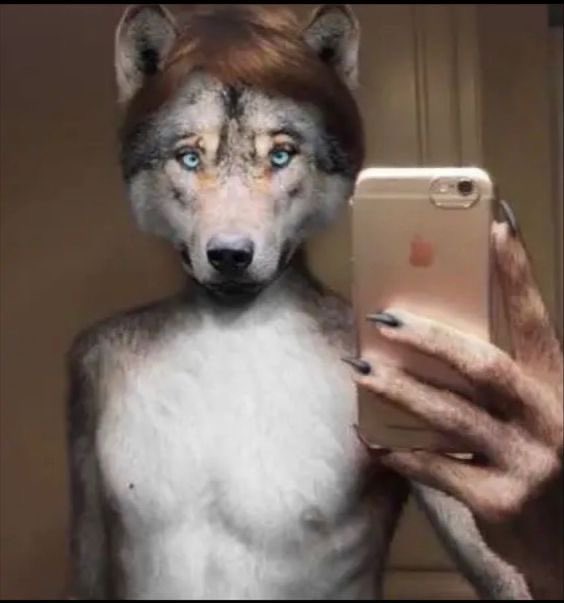 ayo tweet media