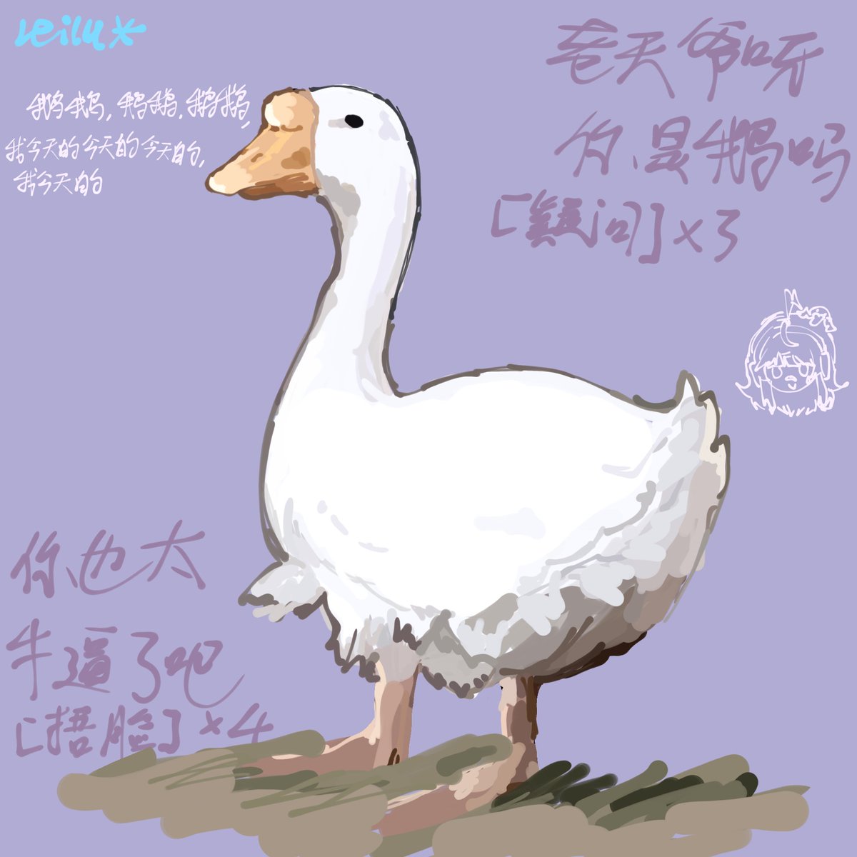 Leilu蕾露.❄️ tweet media