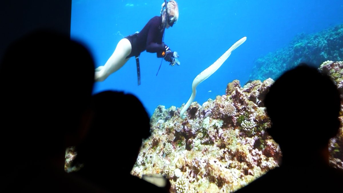 market_forces's tweet photo. 🌊 "Corals’ Last Stand" Screening & #MarineDayAction in Japan 🪸 
The Browse LNG project, pushed forward by #Mitsui and #Mitsubishi alongside others, is endangering the precious Scott Reef coral ecosystem. Through our film screening and guest talks, we discussed ocean conservation and corporate responsibility. The following day, we took action outside both companies' headquarters to demand exit from the gas project! 📣 #ExitBrowse