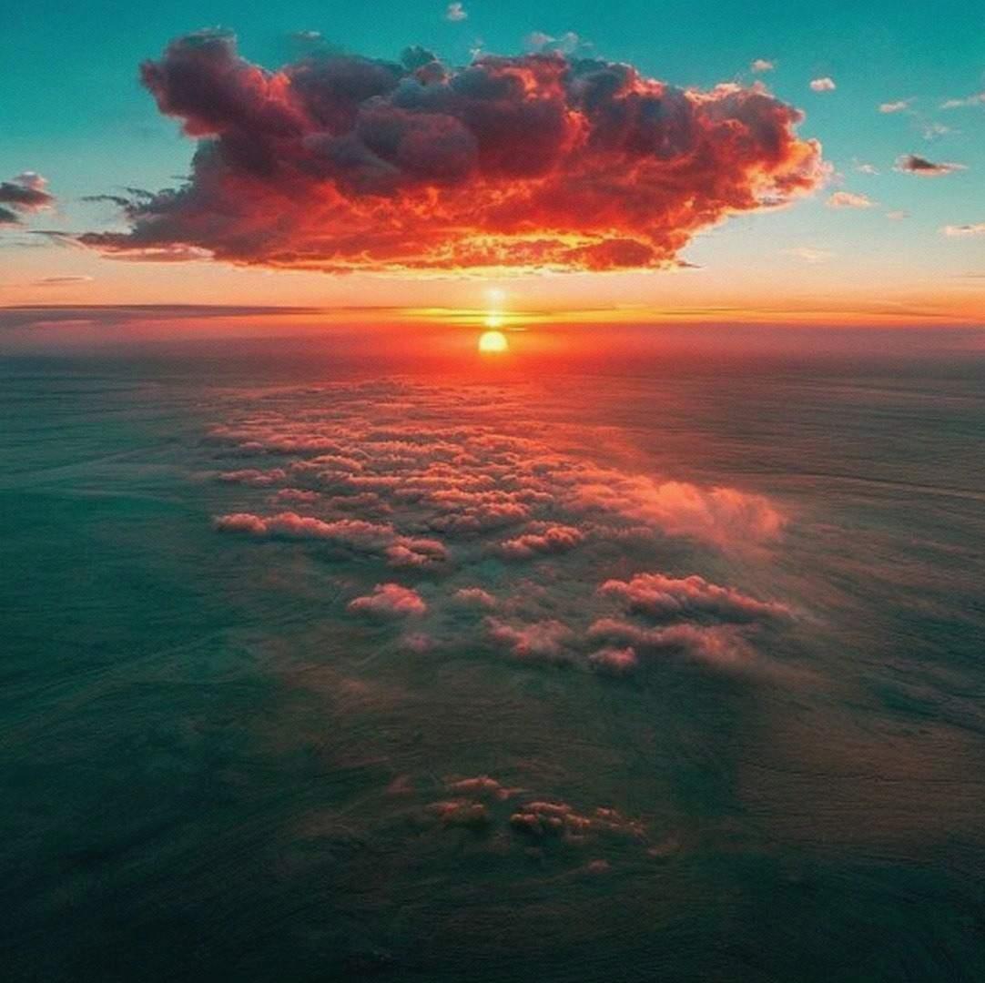 aqtle55434623's tweet photo. The smell of rain on hot pavement hits different. Makes me want to curl up with a blanket and listen to it fall. Simple happiness. 🌹 🌸 🎉 https://t.co/LlCKRzUYev