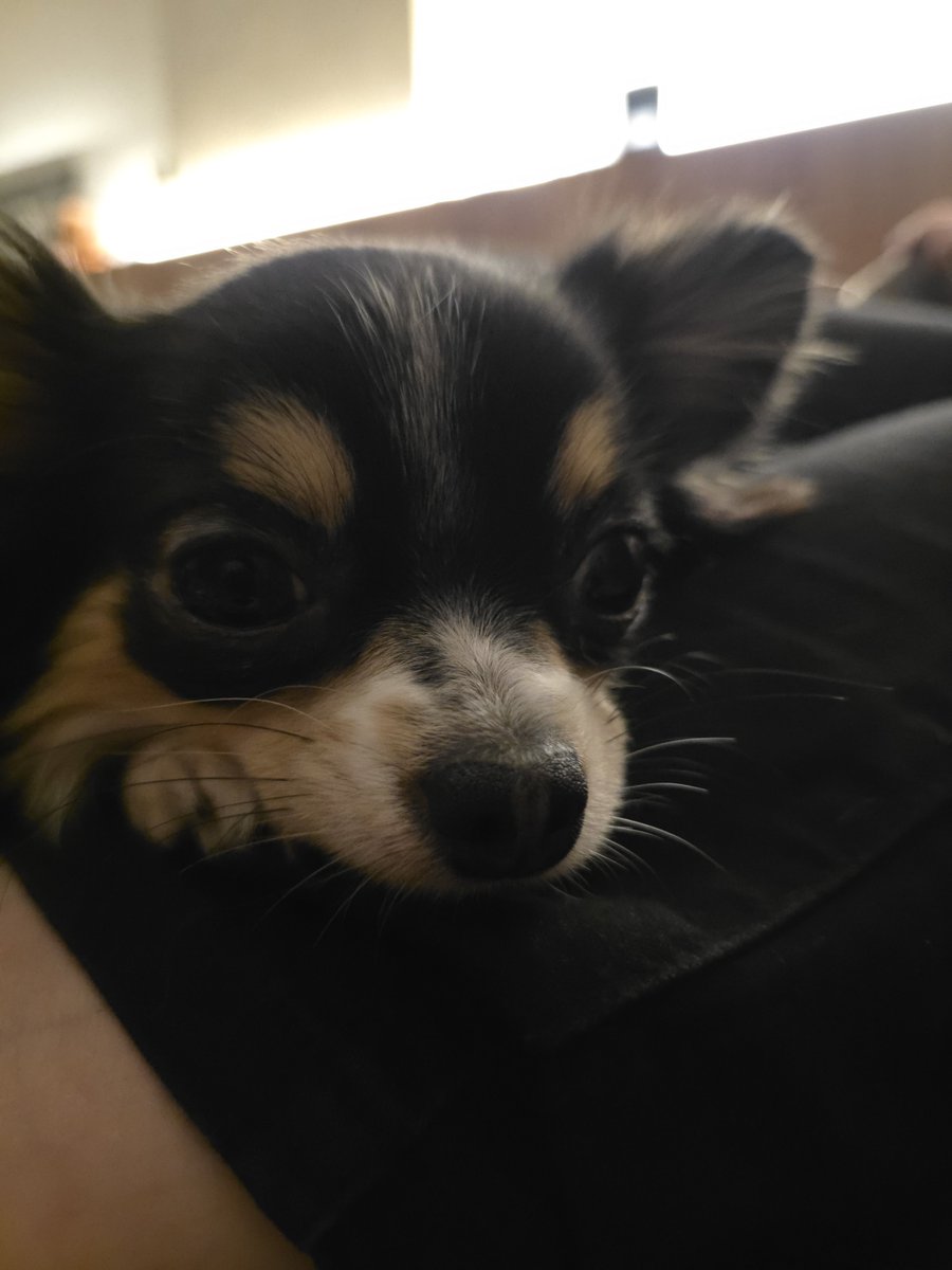 camininho's tweet photo. será que essa coisinha linda vai deixar a gente dormir hoje? façam suas apostas https://t.co/78fbfPrroE