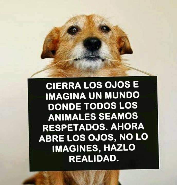 GRamirezF_D12's tweet photo. Buenas noches ✨💖 https://t.co/VHNHfnbQ0T
