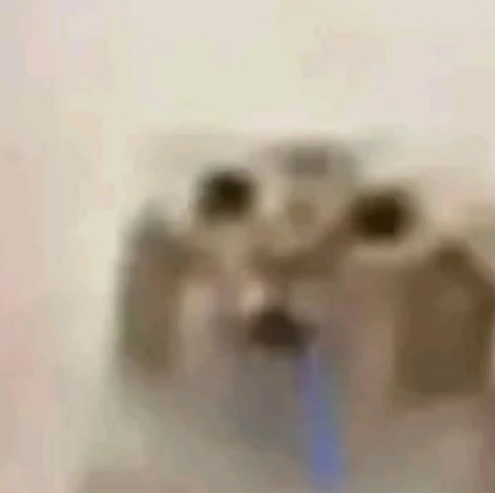 Pc With No Arms(Cat) tweet media