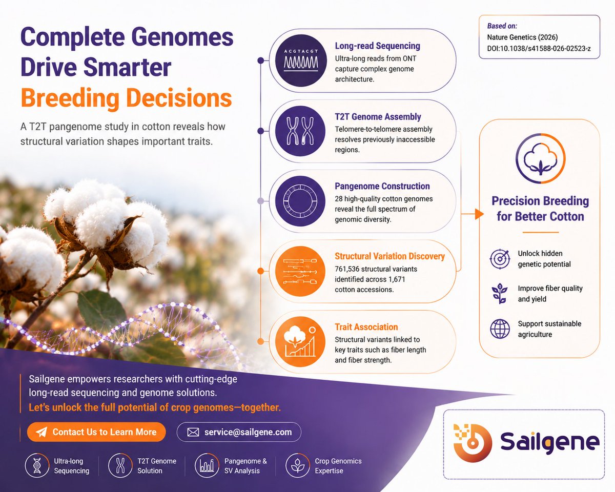 sailgene's tweet photo. From T2T genomes to breeding insights.

A new Nature Genetics study shows how long-read sequencing enables complete cotton genomes, pangenome analysis, and structural variant discovery—connecting genome architecture with important breeding traits.
#LongReadSequencing https://t.co/XnEb0XkrlR