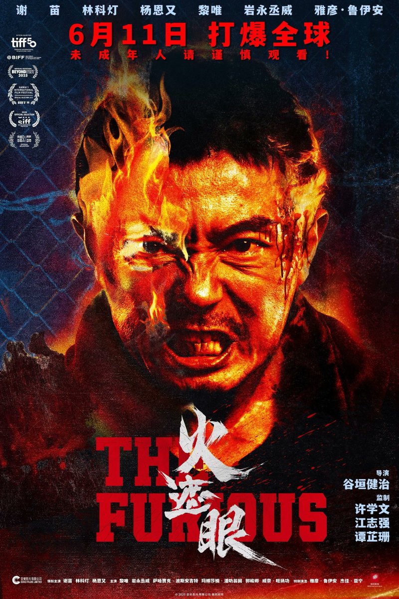 TimesSqKungFu's tweet photo. My favorite posters from The Furious. Who the hell I need to contact for the bike one? Or even the Chinese ones? https://t.co/xqm9TRN3q6