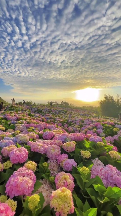 FemSerhat's tweet photo. https://t.co/Qw302xn6FO