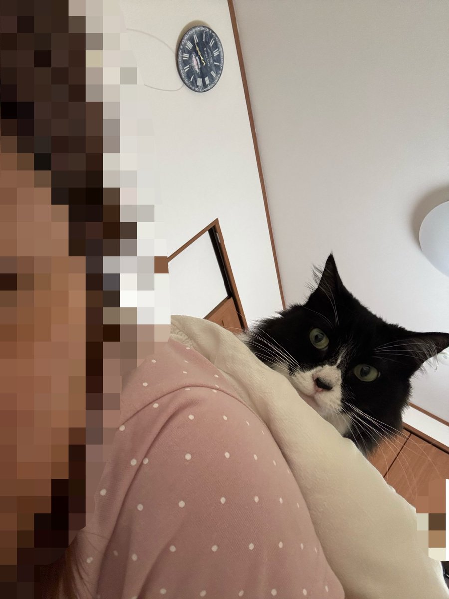 gikkurionna's tweet photo. ギックリママは毎朝身体痛くてなかなか起きれないんだけど、いつも圧がすごくて仕方なく起きる🫠 https://t.co/TX2Wg7vjwX