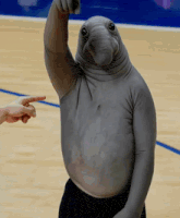 snorp_sol's tweet photo. Hodlers will be rewarded. Patience. https://t.co/QfLQu8OH1B