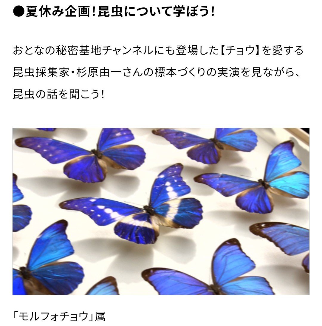 ishikawaipro's tweet photo. #おとなの秘密基地
＃大人の秘密基地
「昆虫教室」もやってます🦋
【おとな��秘密基地展】10時〜18時まで https://t.co/BwlWfmATz8