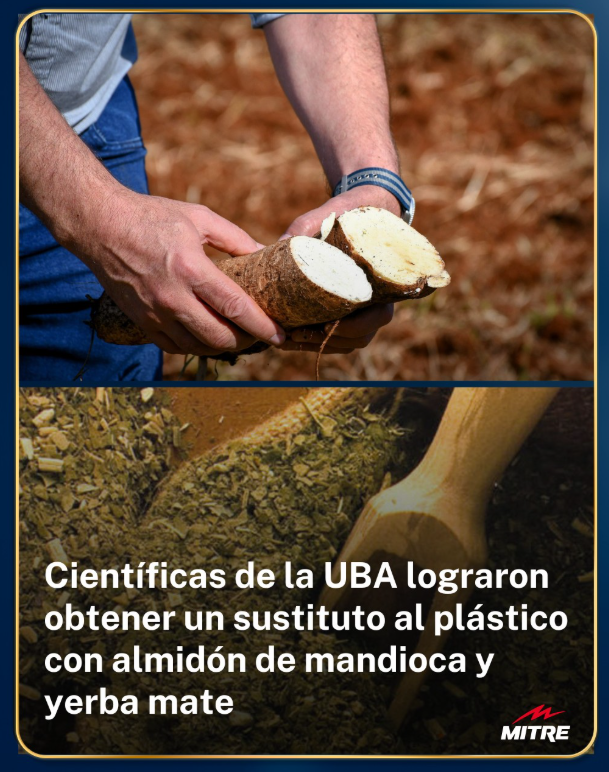 DiPace4's tweet photo. Científicas UBA 🇦🇷 El nuevo desarrollo puede utilizarse para el envasado de alimentos y se degrada en apenas 5 semanas al estar en contacto con la tierra. 

🍶Combinaron fécula de mandioca con plastificantes naturales y aplicaron un proceso de termoformado que permite obtener los films para envases.

🌎La propuesta apunta a reducir el impacto ambiental del plástico tradicional, que puede tardar entre 100 y 500 años en degradarse.