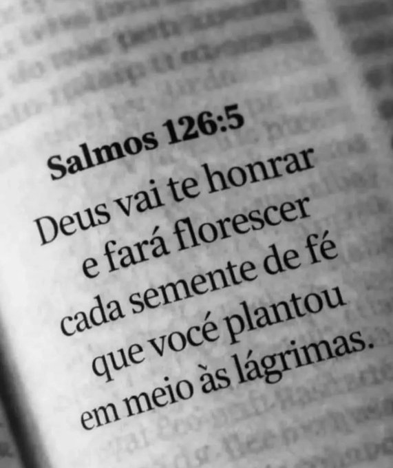 UmFilosofoCitou's tweet photo. https://t.co/VgstmWSvKw