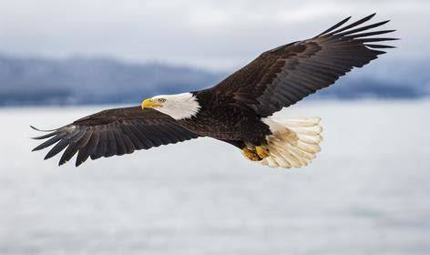 ramzpaul's tweet photo. Living free. https://t.co/QAPcH1jM3y