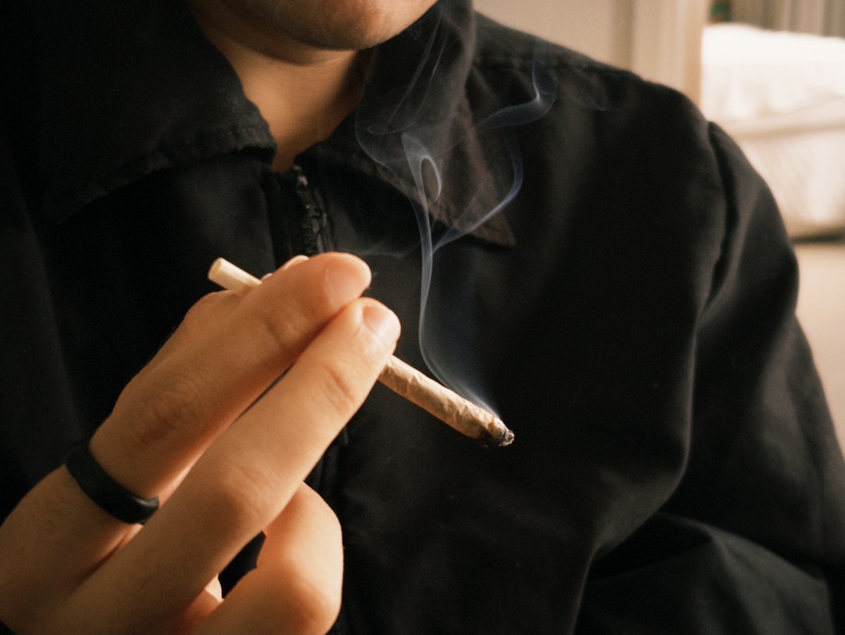 PLUGPUNK's tweet photo. i smoked away my brain https://t.co/MnBMZo4luc