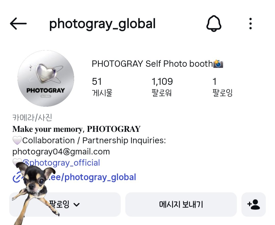ynii1sang's tweet photo. 여태 찍은거즁에 제일 자연스럽게 나옴 만족도 107%!!!캡쑝쨩이야 캡쭁쨩 캡틴이야 캡틴!!!
포토그레이♡연이♡지웅이
저희 강아지도 마음에 든다고 하네요

#KCON #PHOTOGRAY #KCONXPHOTOGRAY https://t.co/Id2vFMjPXS